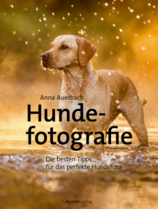 Carte Hundefotografie Anna Auerbach