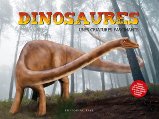 Βιβλίο DINOSAURES DIANA KIRKWOOD