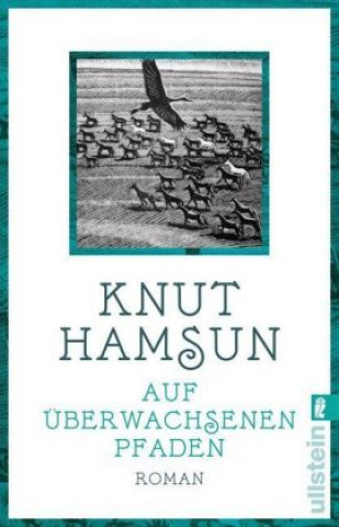 Книга Auf überwachsenen Pfaden Knut Hamsun