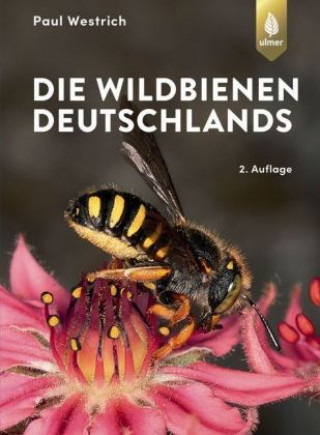 Книга Die Wildbienen Deutschlands Paul Westrich