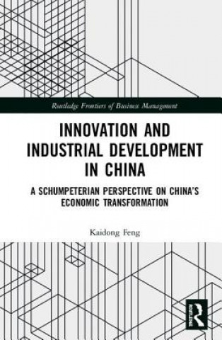 Kniha Innovation and Industrial Development in China FENG