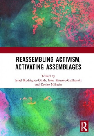 Knjiga Reassembling Activism, Activating Assemblages Denise Milstein