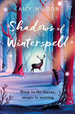 Könyv Shadows of Winterspell Amy Wilson