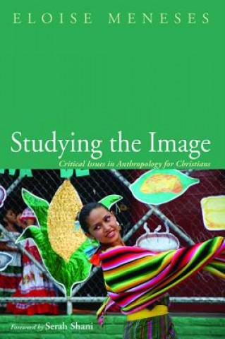 Knjiga Studying the Image Meneses Eloise Meneses
