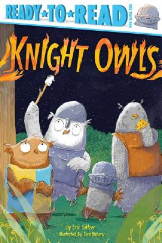 Libro Knight Owls: Ready-To-Read Pre-Level 1 Eric Seltzer