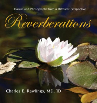 Knjiga Reverberations Rawlings MD JD Rawlings