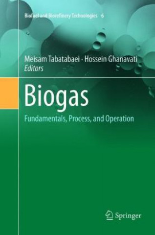 Knjiga Biogas Meisam Tabatabaei