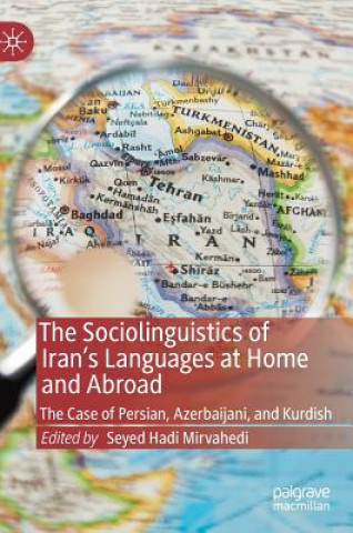 Kniha Sociolinguistics of Iran's Languages at Home and Abroad Seyed Hadi Mirvahedi