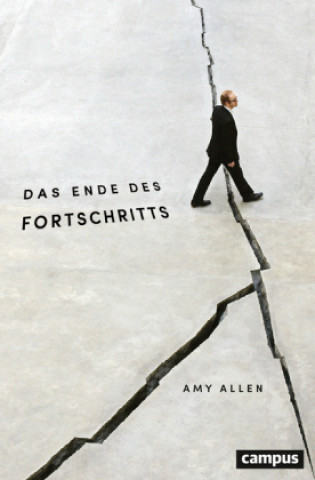 Kniha Das Ende des Fortschritts Amy Allen