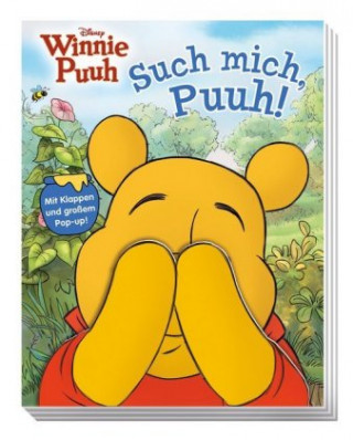 Könyv Disney Winnie Puuh: Such mich, Puuh! Lori Froeb
