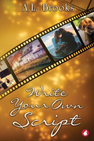 Book Write Your Own Script A L Brooks