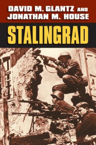 Kniha Stalingrad David M. Glantz