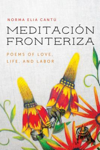 Könyv Meditacion Fronteriza Norma Elia Cantu