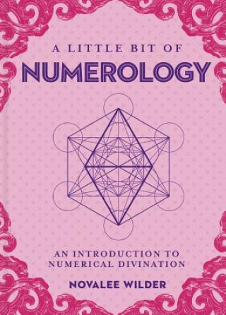 Kniha Little Bit of Numerology, A Novalee Wilder