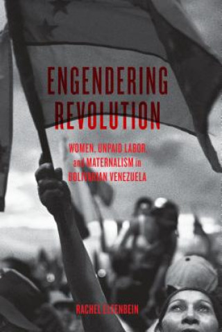 Knjiga Engendering Revolution Rachel Elfenbein