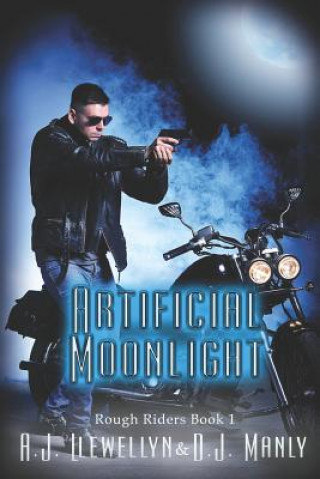 Könyv Artificial Moonlight D. J. Manly