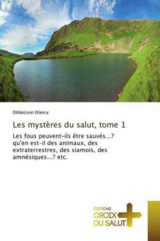 Carte Les mysteres du salut, tome 1 Diblaizson Eliancy