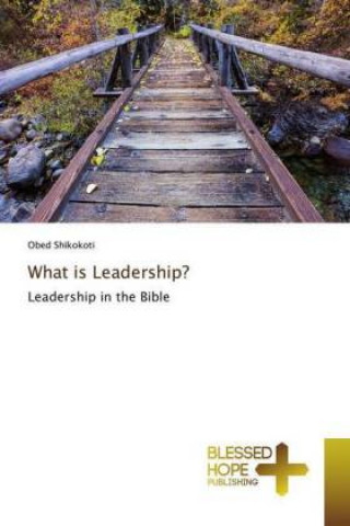 Kniha What is Leadership? Obed Shikokoti