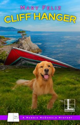Kniha Cliff Hanger Mary Feliz