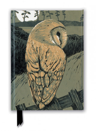 Kalendář/Diář Chris Pendleton: Barn Owl (Foiled Journal) Flame Tree Studio