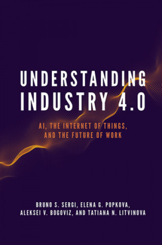 Könyv Understanding Industry 4.0 Bruno S. Sergi