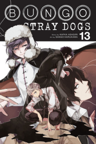 Kniha Bungo Stray Dogs, Vol. 13 Kafka Asagiri