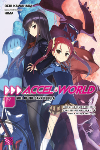 Könyv Accel World, Vol. 19 (light novel) Reki Kawahara