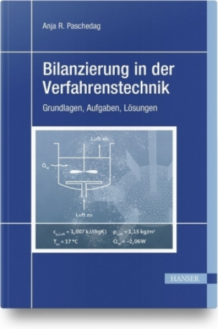 Kniha Bilanzierung in der Verfahrenstechnik Anja R. Paschedag
