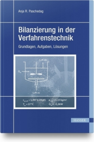 Könyv Bilanzierung in der Verfahrenstechnik Anja R. Paschedag