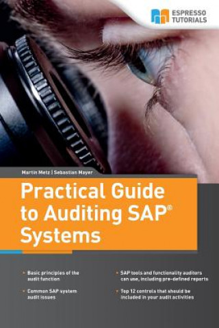 Carte Practical Guide to Auditing SAP Systems Martin Metz
