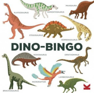 Hra/Hračka Dino-Bingo Caroline Selmes