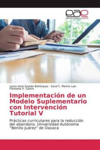 Könyv Implementación de un Modelo Suplementario con Intervención Tutorial V Laura Irene Gaytán Bohórquez