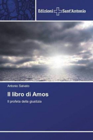 Kniha Il libro di Amos Antonio Salvato