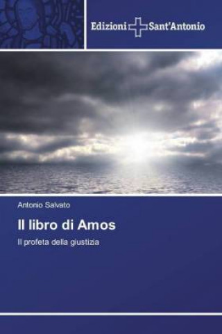 Książka Il libro di Amos Antonio Salvato