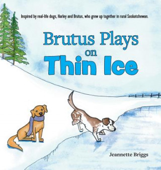 Buch Brutus Plays on Thin Ice Jeannette Briggs
