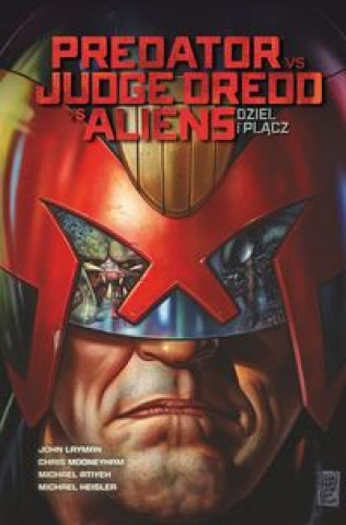 Kniha Predator vs Judge Dredd vs Aliens Tom 1 Layman John