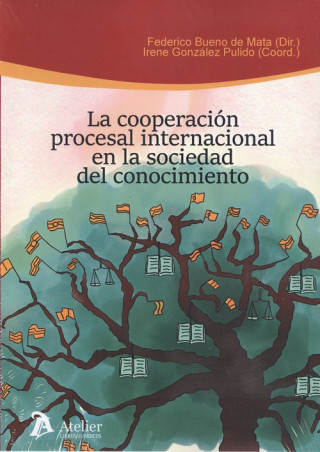 Book COOPERACIÓN PROCESAL INTERNACIONAL EN SOCIEDAD CONOCIMIENTO FEDERICO BUENO DE LA MATA