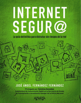 Kniha INTERNET SEGUR@ JOSE ANGEL FERNANDEZ FERNANDEZ