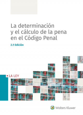 Könyv DETERMINACIÓN Y EL CÁLCULO DE LA PENA EN EL CÓDIGO PENAL 