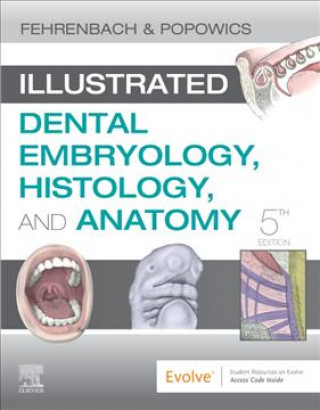 Kniha Illustrated Dental Embryology, Histology, and Anatomy Margaret J. Fehrenbach