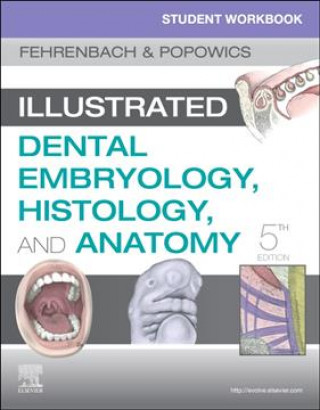 Kniha Student Workbook for Illustrated Dental Embryology, Histology and Anatomy Margaret J. Fehrenbach