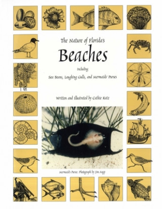 Carte Nature of Florida's Beaches Cathie Katz