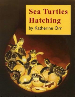 Kniha Sea Turtles Hatching Katherine Orr