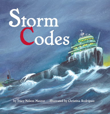 Kniha Storm Codes Tracy Maurer