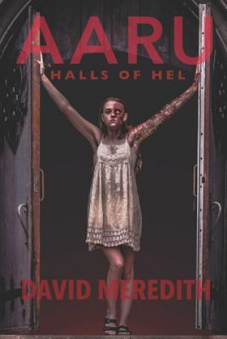 Kniha Aaru: Halls of Hel David Meredith