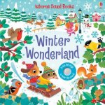 Könyv Winter Wonderland Sound Book Sam Taplin