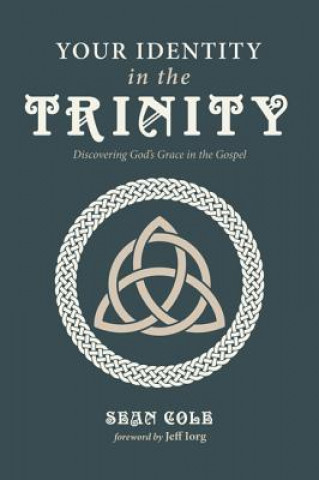 Boek Your Identity in the Trinity Sean Cole