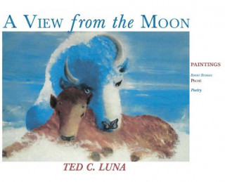 Kniha View from the Moon (Hardcover) TED C. LUNA