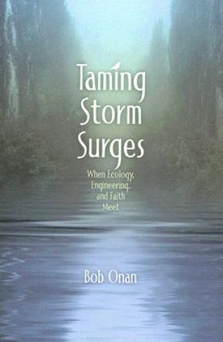 Buch Taming Storm Surges Bob Onan