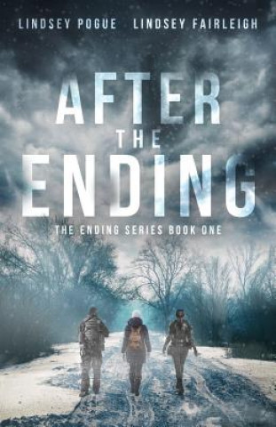 Libro After The Ending LINDSEY FAIRLEIGH